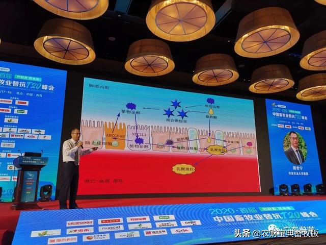 大咖发声：不是所有的甾醇都叫蔚莱1号