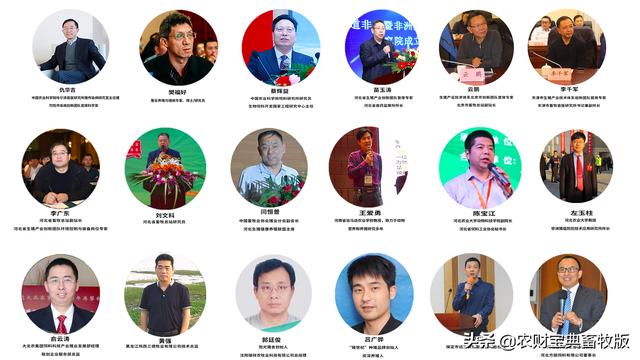 2020第二届雄安猪业高峰论坛即将召开