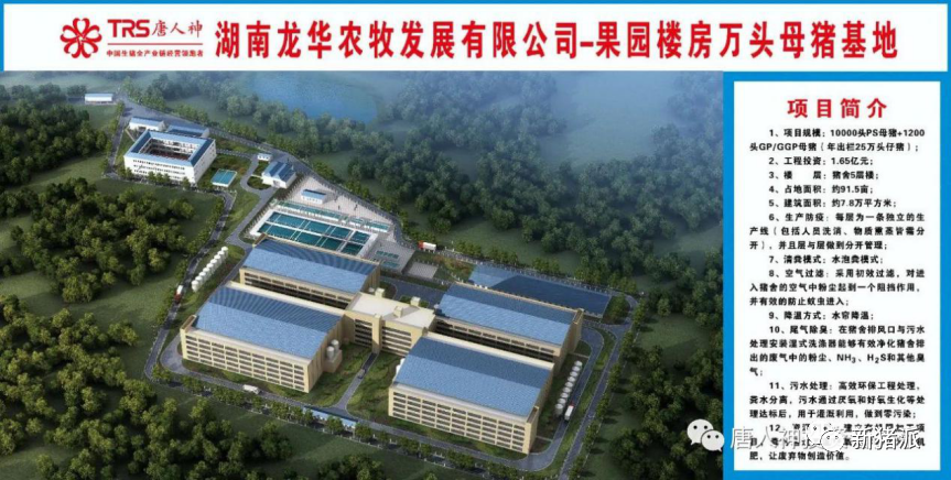 唐人神将全面采用楼房养猪，目标年出栏1000万头|硕腾特约新猪派探旅