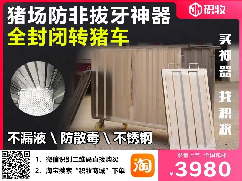 非瘟下如何做好保育猪的饲养管理?3位美国养猪专家建议这样做...