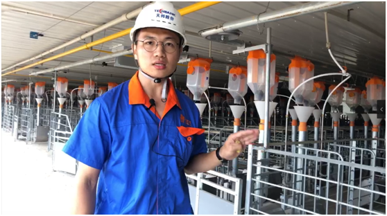 全国再布局26个养猪项目，汉世伟现代化猪场样板工程内部首次对外公开