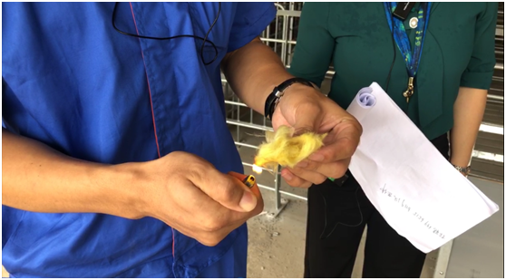 全国再布局26个养猪项目，汉世伟现代化猪场样板工程内部首次对外公开