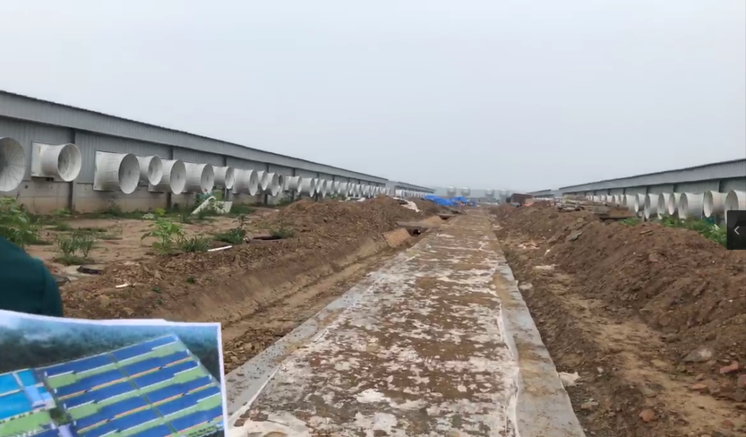 全国再布局26个养猪项目，汉世伟现代化猪场样板工程内部首次对外公开