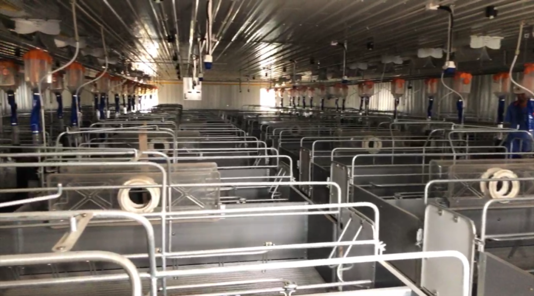 全国再布局26个养猪项目，汉世伟现代化猪场样板工程内部首次对外公开