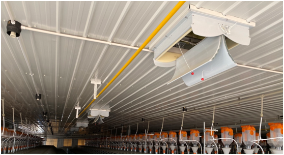 全国再布局26个养猪项目，汉世伟现代化猪场样板工程内部首次对外公开