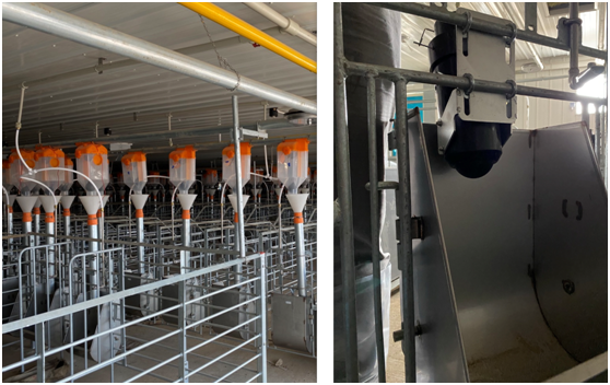 全国再布局26个养猪项目，汉世伟现代化猪场样板工程内部首次对外公开