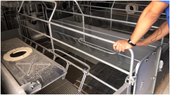 全国再布局26个养猪项目，汉世伟现代化猪场样板工程内部首次对外公开