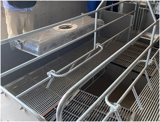 全国再布局26个养猪项目，汉世伟现代化猪场样板工程内部首次对外公开