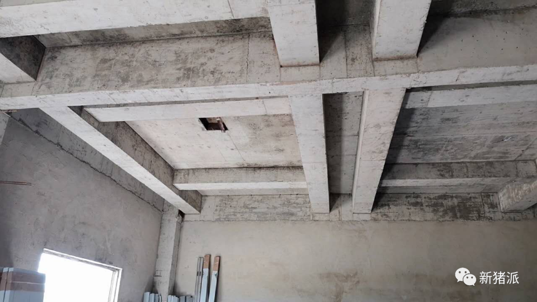 海南首个高楼猪场即将投产！罗牛山7个项目出栏140万头|硕腾特约新猪派探旅