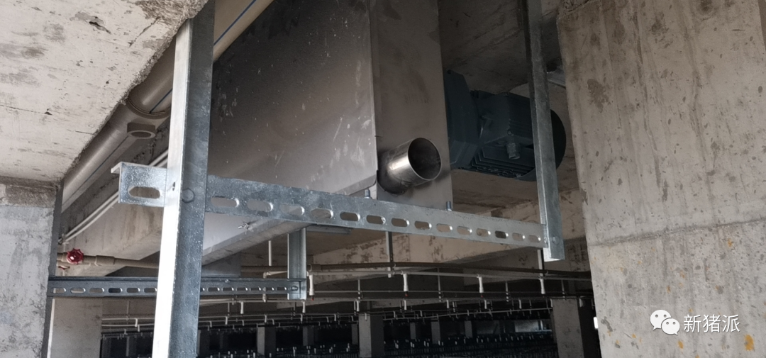 海南首个高楼猪场即将投产！罗牛山7个项目出栏140万头|硕腾特约新猪派探旅