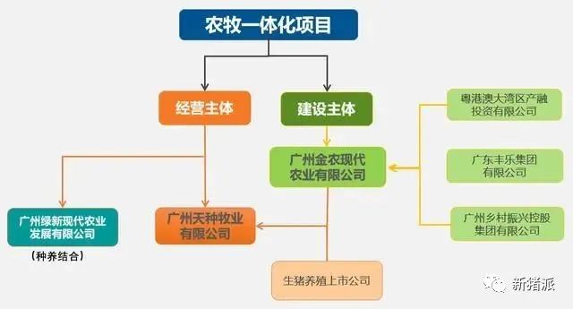 楼房养猪再添新势力！广州金农30万头高楼猪场即将投产|硕腾特约新猪派探旅
