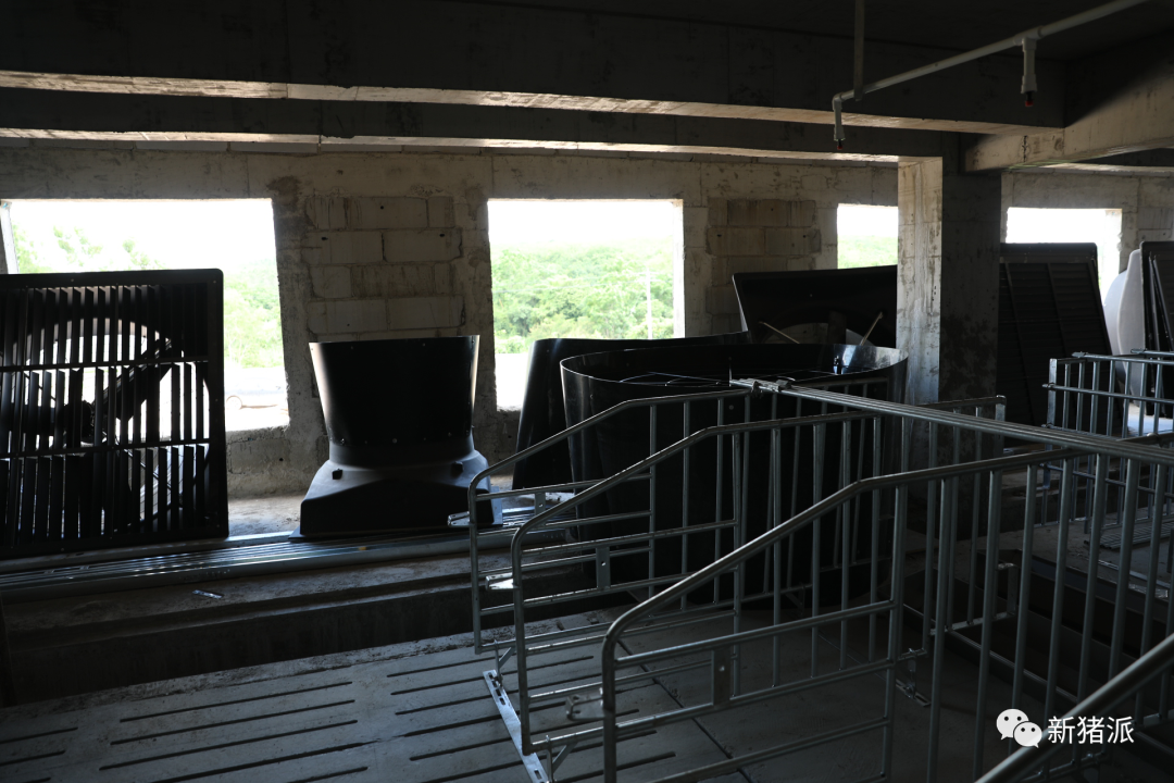 海南首个高楼猪场即将投产！罗牛山7个项目出栏140万头|硕腾特约新猪派探旅