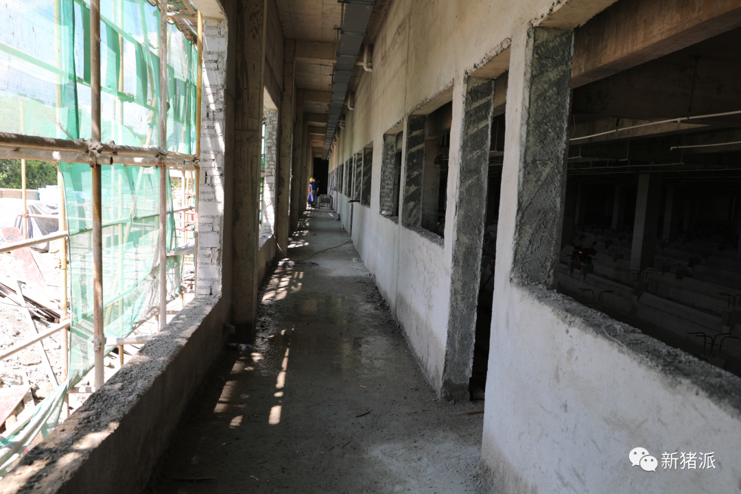 海南首个高楼猪场即将投产！罗牛山7个项目出栏140万头|硕腾特约新猪派探旅