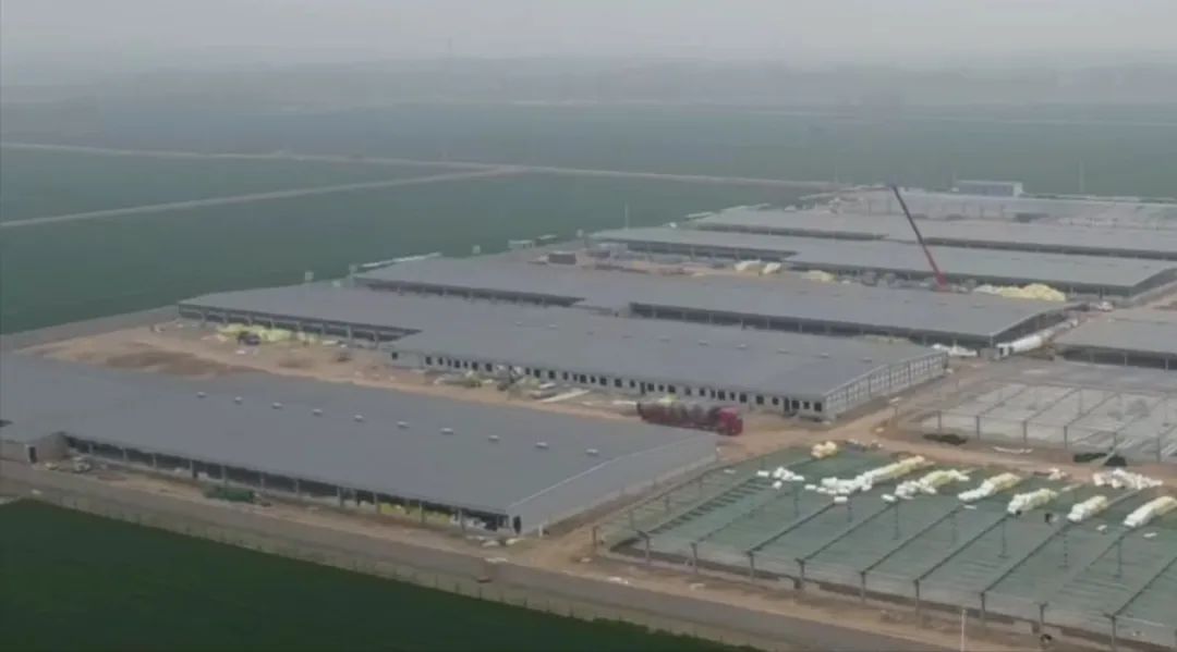 全国再布局26个养猪项目，汉世伟现代化猪场样板工程内部首次对外公开