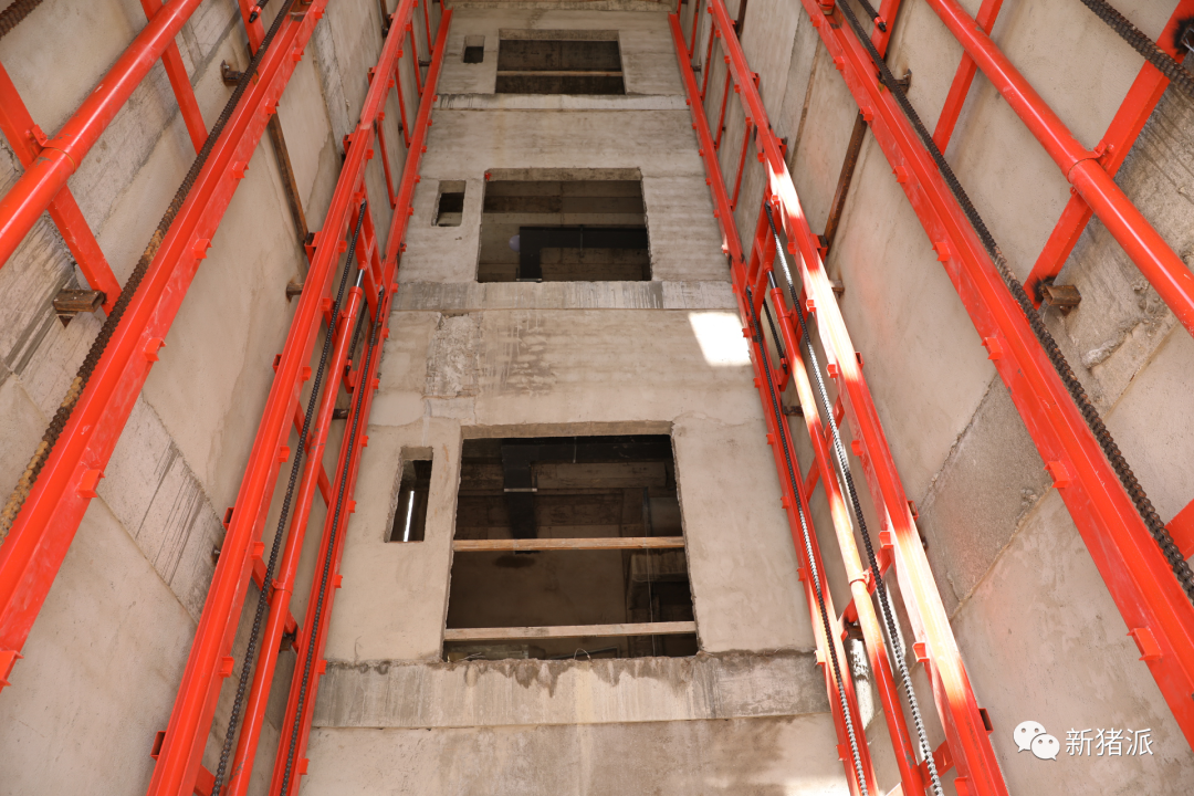 海南首个高楼猪场即将投产！罗牛山7个项目出栏140万头|硕腾特约新猪派探旅