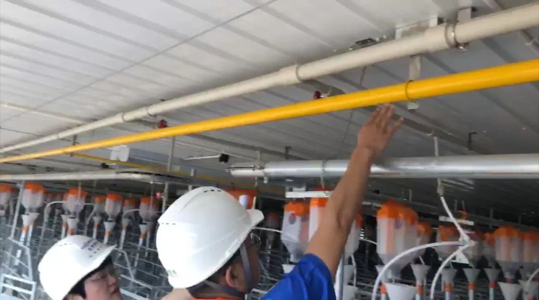 全国再布局26个养猪项目，汉世伟现代化猪场样板工程内部首次对外公开