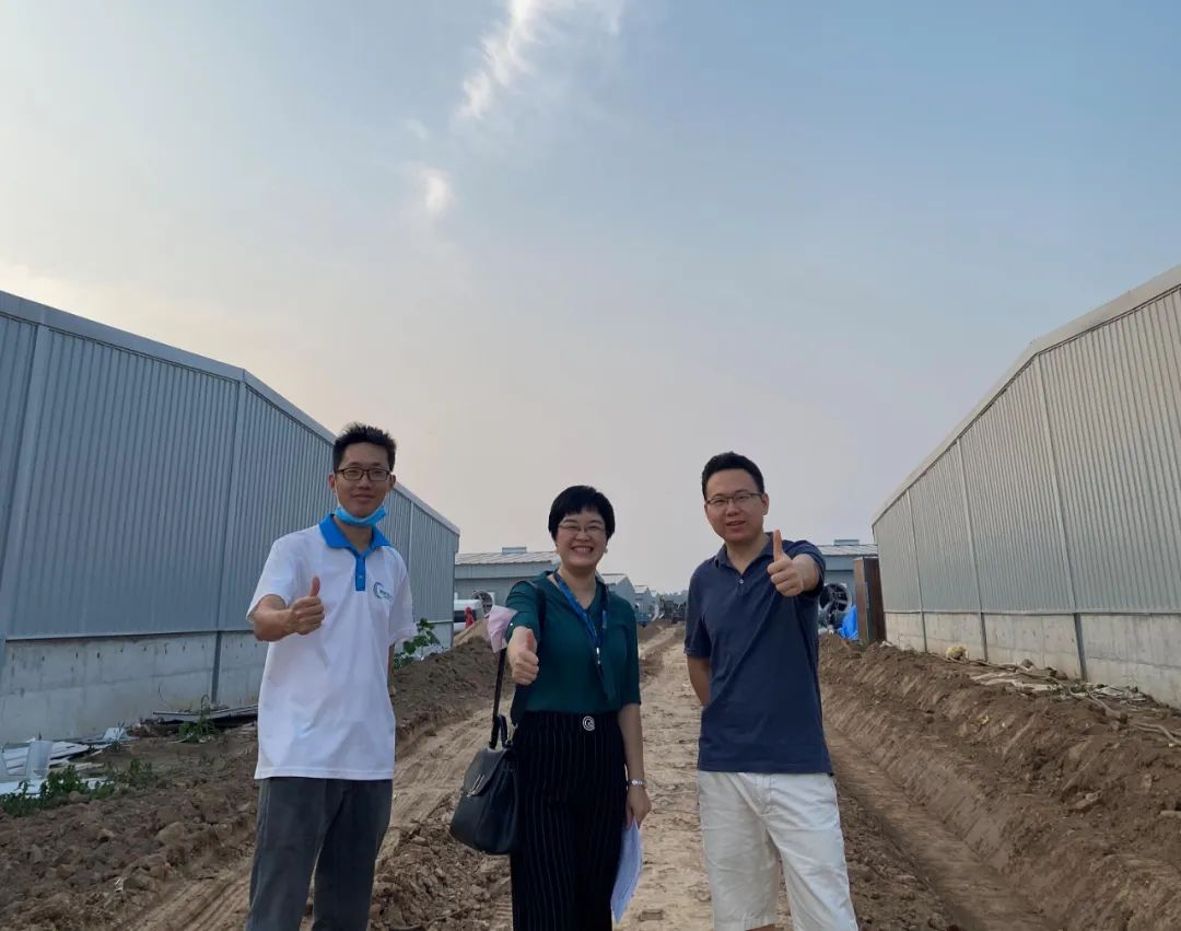 全国再布局26个养猪项目，汉世伟现代化猪场样板工程内部首次对外公开