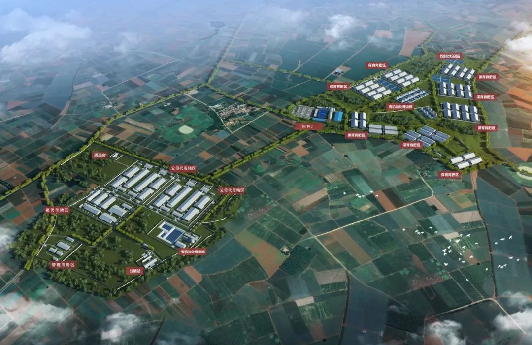 现场直击！年出栏100万头生猪基地是如何建成的