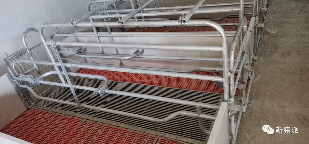 海南首个高楼猪场即将投产！罗牛山7个项目出栏140万头|硕腾特约新猪派探旅