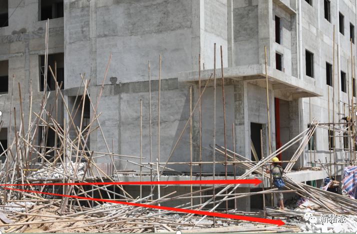 海南首个高楼猪场即将投产！罗牛山7个项目出栏140万头|硕腾特约新猪派探旅