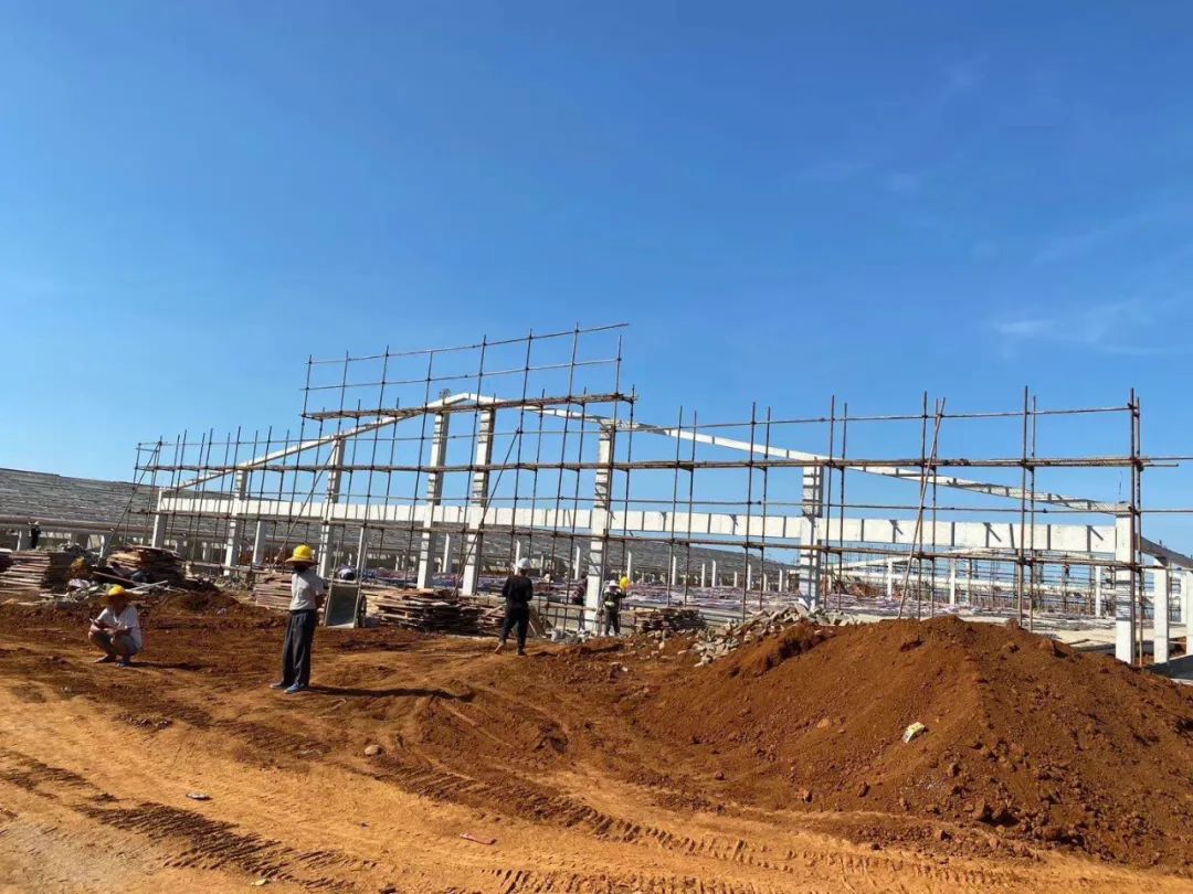 现场直击！年出栏100万头生猪基地是如何建成的