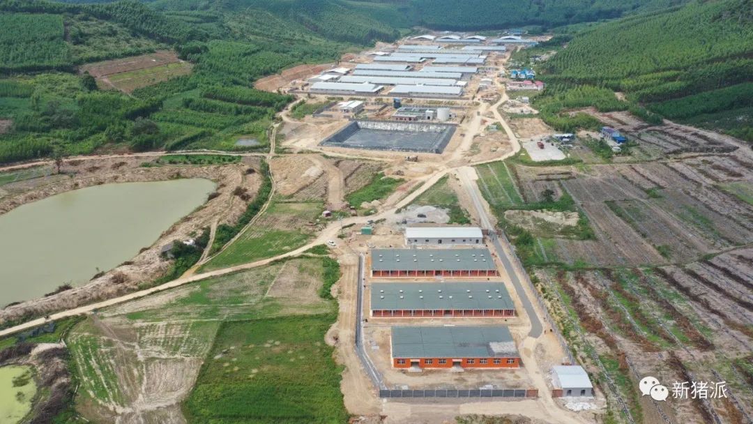 把“养猪房地产”进行到底?新希望六和80后新总裁上任:房地产出身