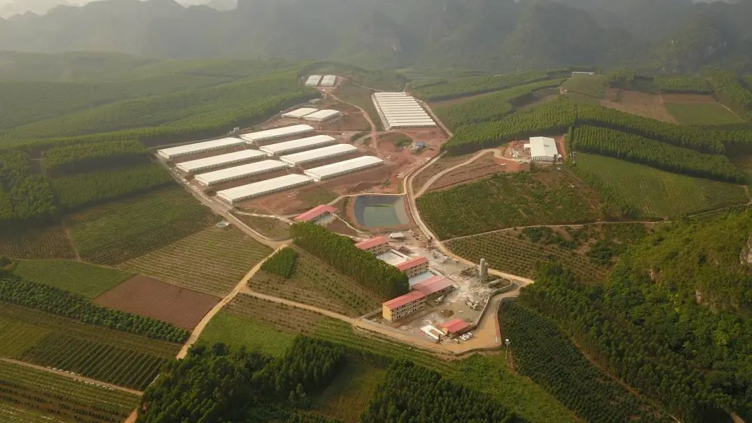 黄雄：金陵集团坚守养猪，2年内发展至10万种猪规模 | 硕腾特约新猪派探旅