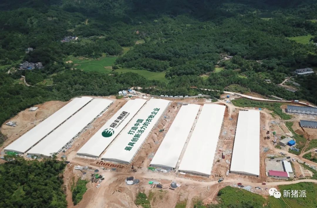 2025年出栏200万头！园丰集团养猪规划公布|硕腾特约新猪派探旅