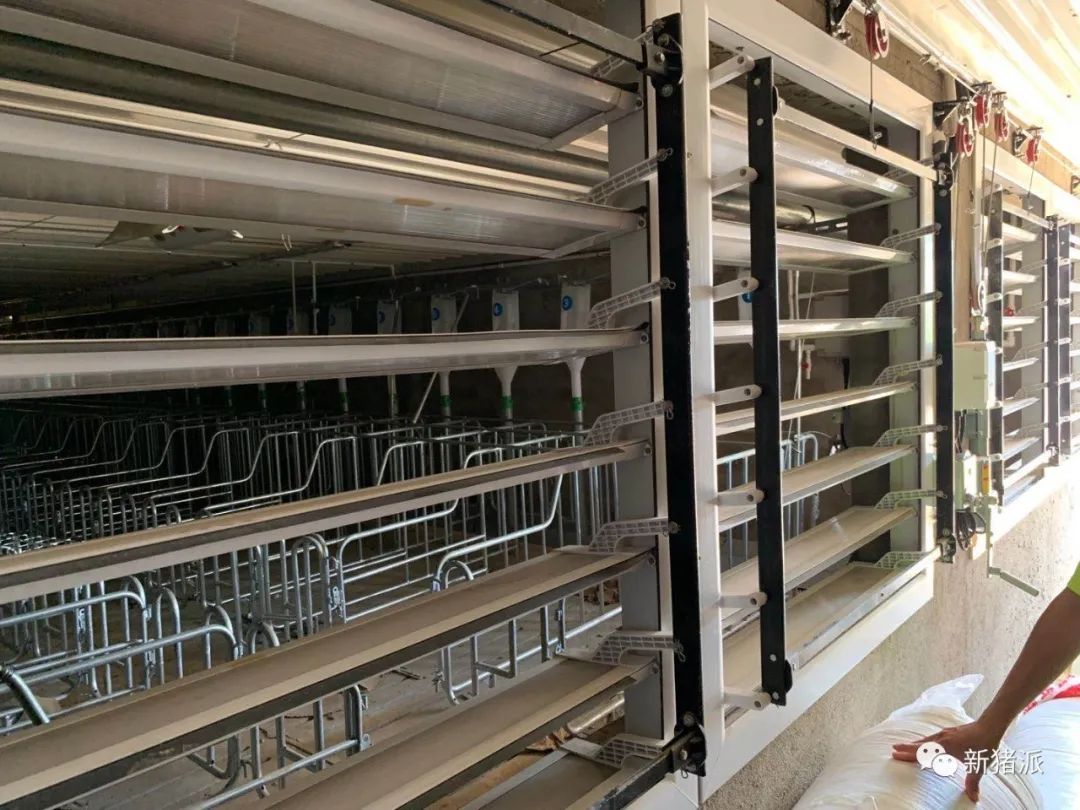 2025年出栏200万头！园丰集团养猪规划公布|硕腾特约新猪派探旅