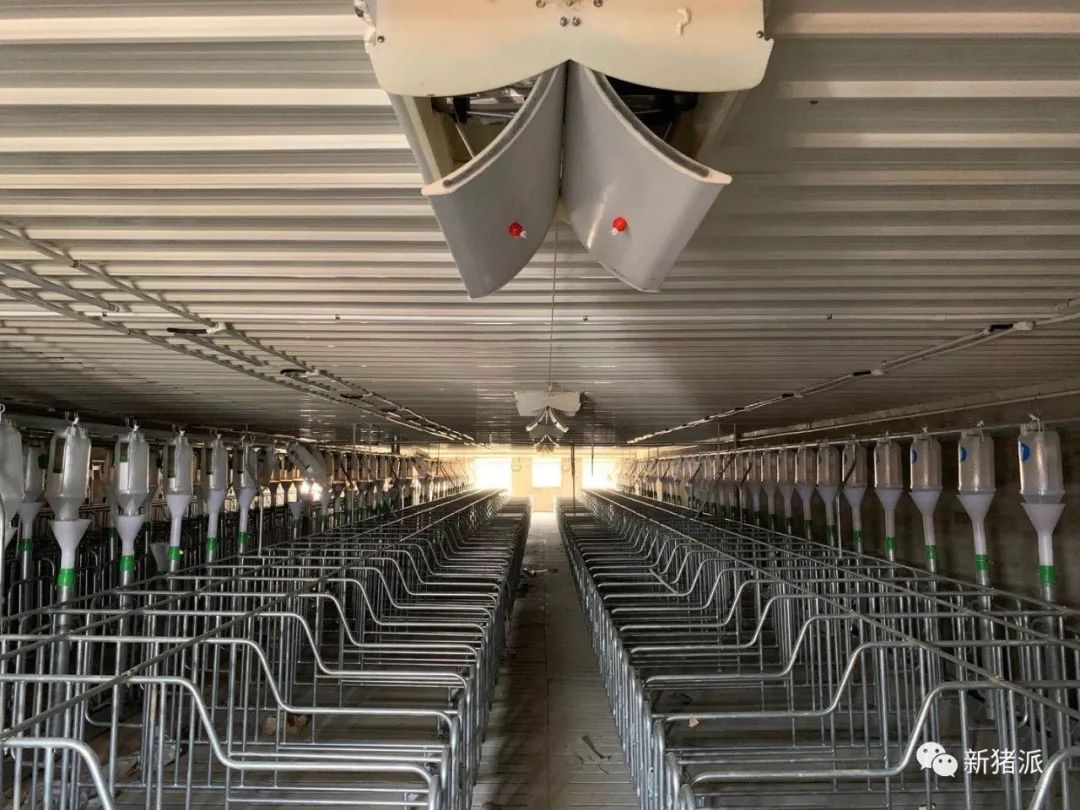 2025年出栏200万头！园丰集团养猪规划公布|硕腾特约新猪派探旅