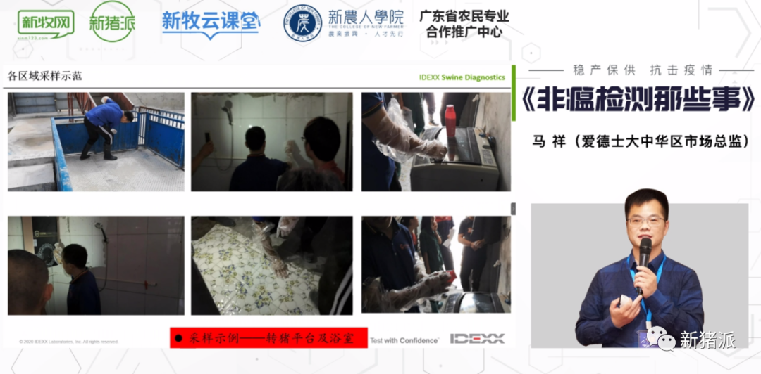 非瘟处置争分夺秒!复养、精准剔除、日常监测如何做好检测?