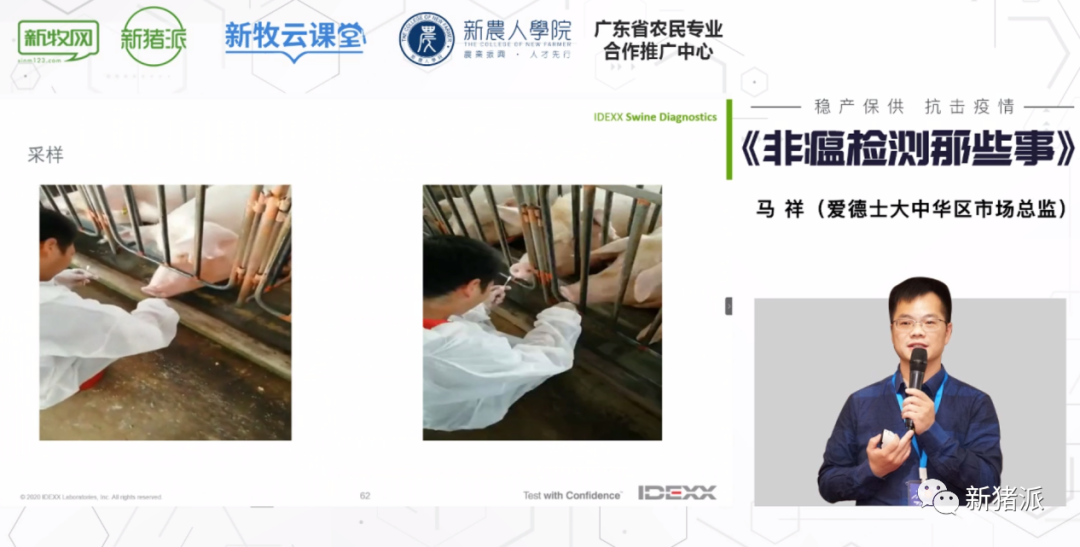 非瘟处置争分夺秒!复养、精准剔除、日常监测如何做好检测?