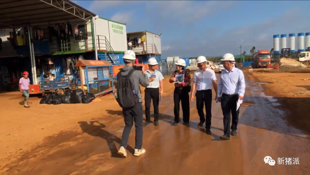 震撼！实地探访斥资30亿建的猪场，这就是未来养猪业的样子