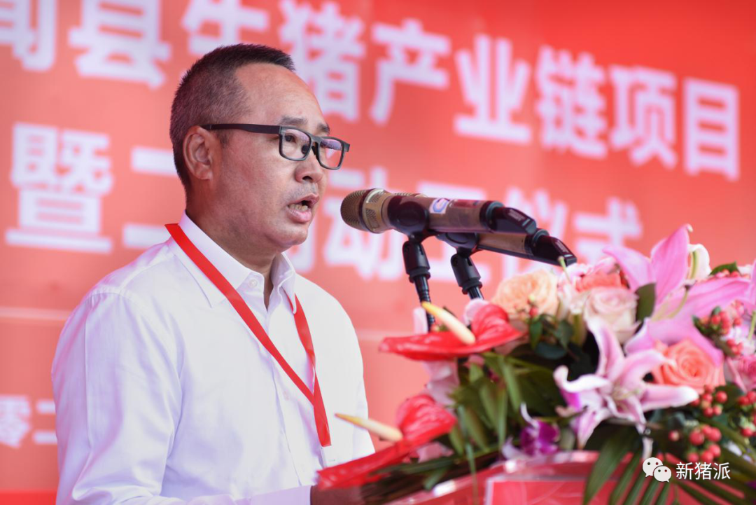 深圳速度!京基智农徐闻项目正式投产,100万头生猪产能正在兑现
