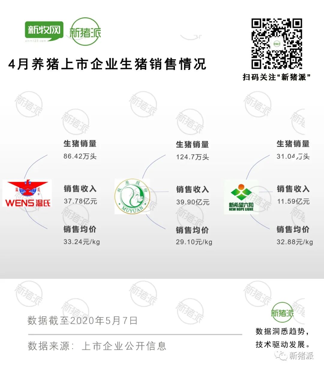 猪价跌破15元大关,仔猪却涨破50元/斤:警惕这场猪价陷阱