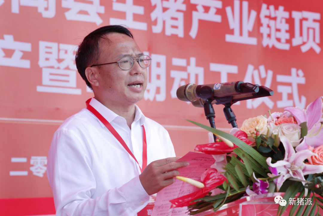 深圳速度!京基智农徐闻项目正式投产,100万头生猪产能正在兑现