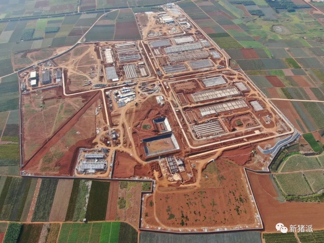 震撼！实地探访斥资30亿建的猪场，这就是未来养猪业的样子