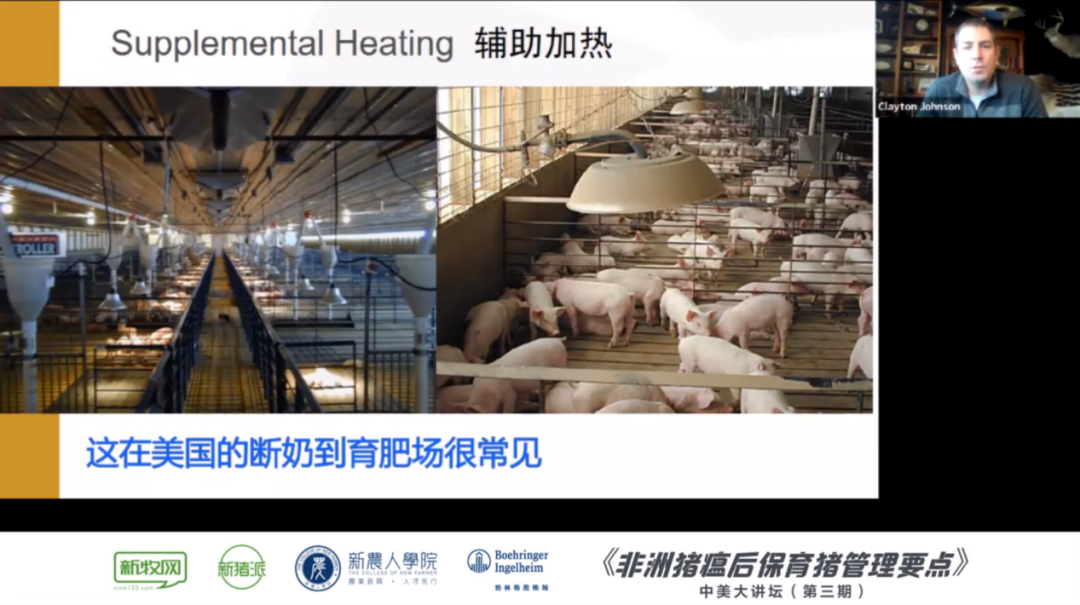 非瘟下如何做好保育猪的饲养管理?3位美国养猪专家建议这样做...