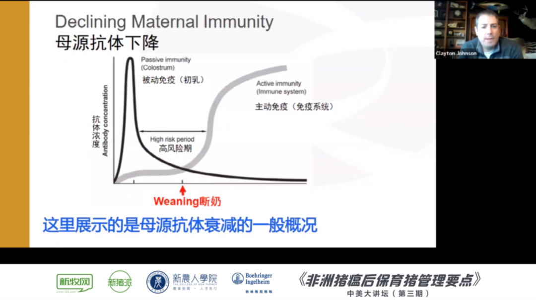 非瘟下如何做好保育猪的饲养管理?3位美国养猪专家建议这样做...