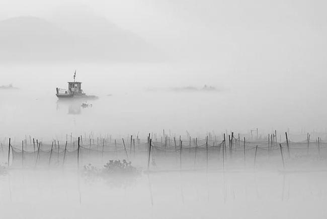 与踏实人一起做事