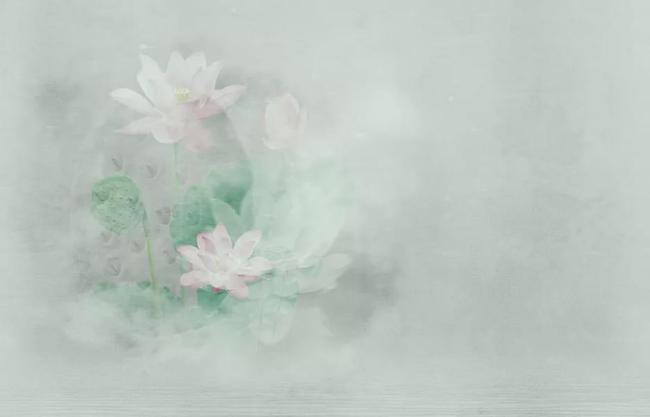 与踏实人一起做事