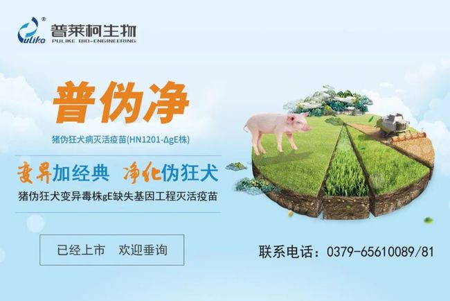 西南猪业突飞猛进,养猪新模式如何开花结果?2020年首届西南养猪大会为你揭晓!