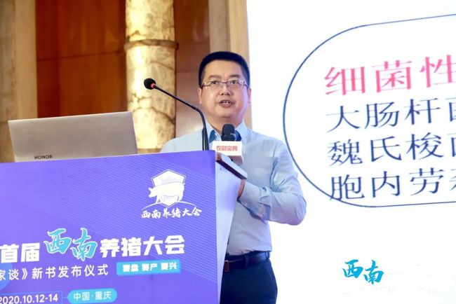 西南猪业突飞猛进,养猪新模式如何开花结果?2020年首届西南养猪大会为你揭晓!