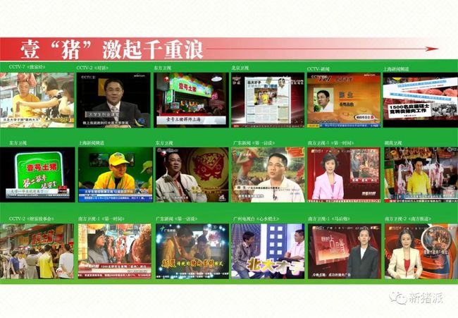 壹号土猪这个猪场要火:存栏1.5万头母猪,专养两广小花猪