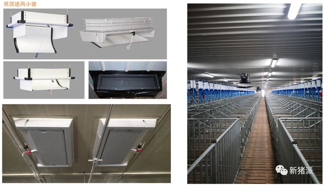 壹号土猪这个猪场要火:存栏1.5万头母猪,专养两广小花猪