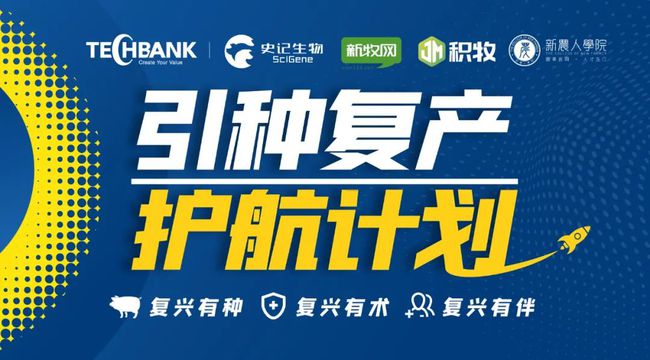 一场非瘟下的猪价狂欢,竟改变了我们对种猪的“审美”