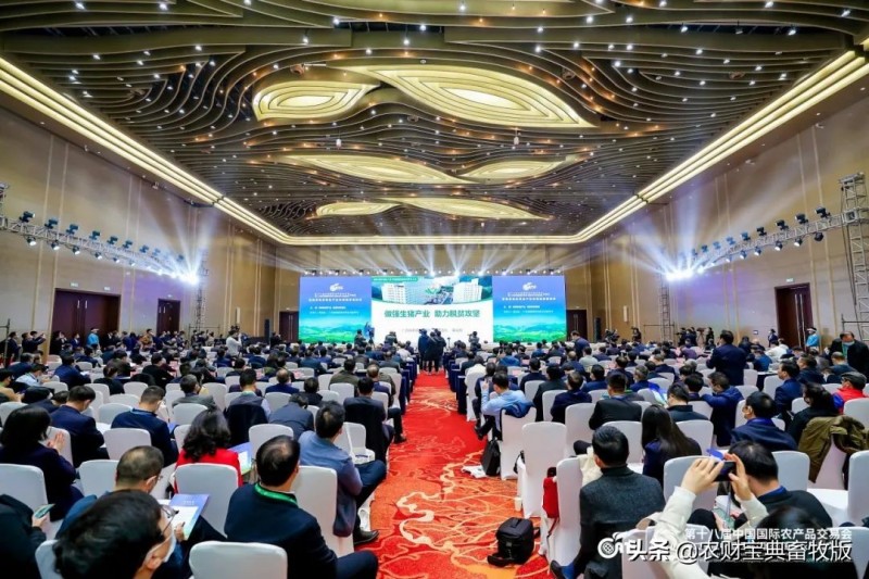 扬翔亮相第十八届中国国际农产品交易会，莫金枝董事长汇报产业扶贫产业