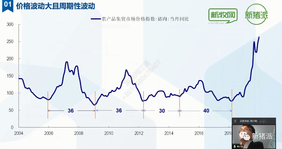 规模高达1.5万亿！生猪期货到底如何影响现货市场？答案都在这里