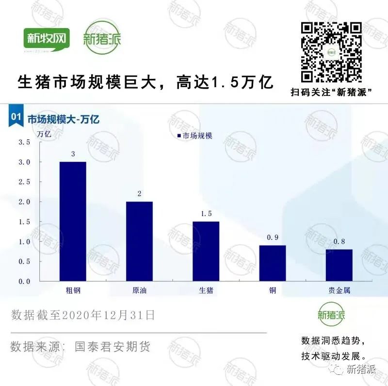 规模高达1.5万亿！生猪期货到底如何影响现货市场？答案都在这里