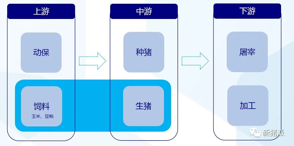 规模高达1.5万亿！生猪期货到底如何影响现货市场？答案都在这里